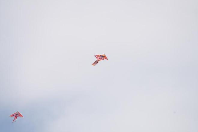 -800mm F63-8 G OSS评测G镜头家族超远新视野 索尼FE 400(图18)