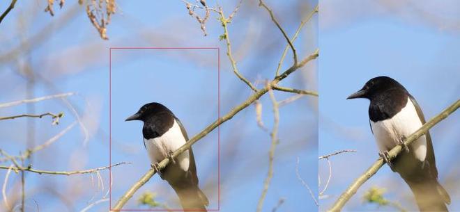 -800mm F63-8 G OSS评测G镜头家族超远新视野 索尼FE 400(图21)